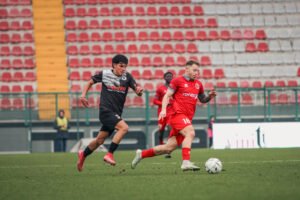 Grigi, la finale di Coppa col Cuneo si giocherà a Vercelli