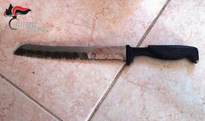Carentino: accoltella la madre durante una lite, arrestata