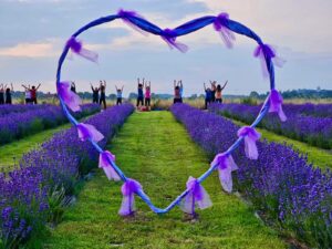 Valmadonna, torna la Festa della Lavanda con grounding, pet therapy e sapori