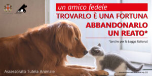 Alessandria, appello contro l’abbandono degli animali durante l’estate