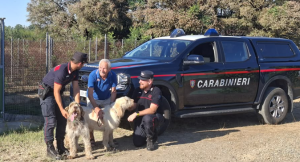 Sezzadio, 20 cani salvati dall’incendio: stanno bene