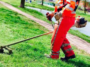 Alessandria, sfalci e manutenzione del verde: ecco le vie interessate